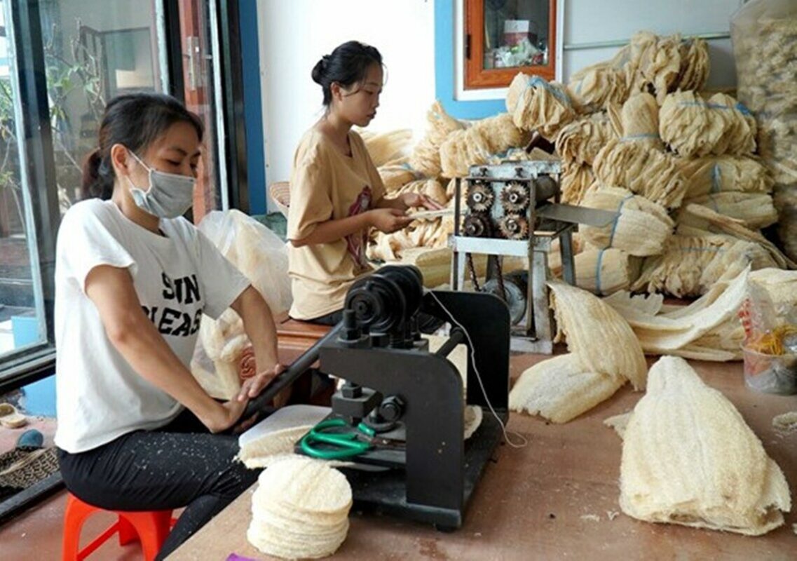 Loofah Processing
