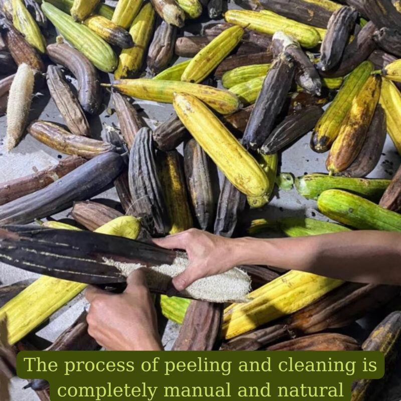 Loofah Manual Processing